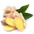 Pure Spray Dried Vegetable Powder Ginger Powder